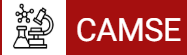 3rd International Conference on Advances in Materials Science and Engineering (CAMSE 2026) logo