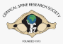 Cervical Spine Research Society - CSRS