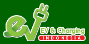 EV & Charging Indonesia