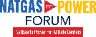NatGas To Power Forum