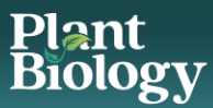 Plant Biology 2026