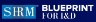 SHRM BLUEPRINT FOR I&D